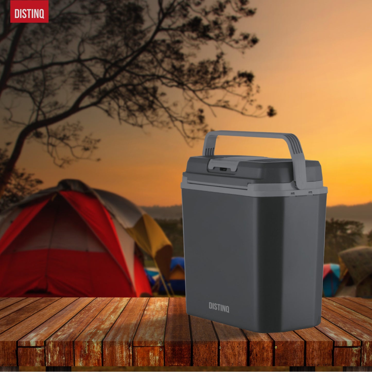 DistinQ Electric Cool Box 20L-6