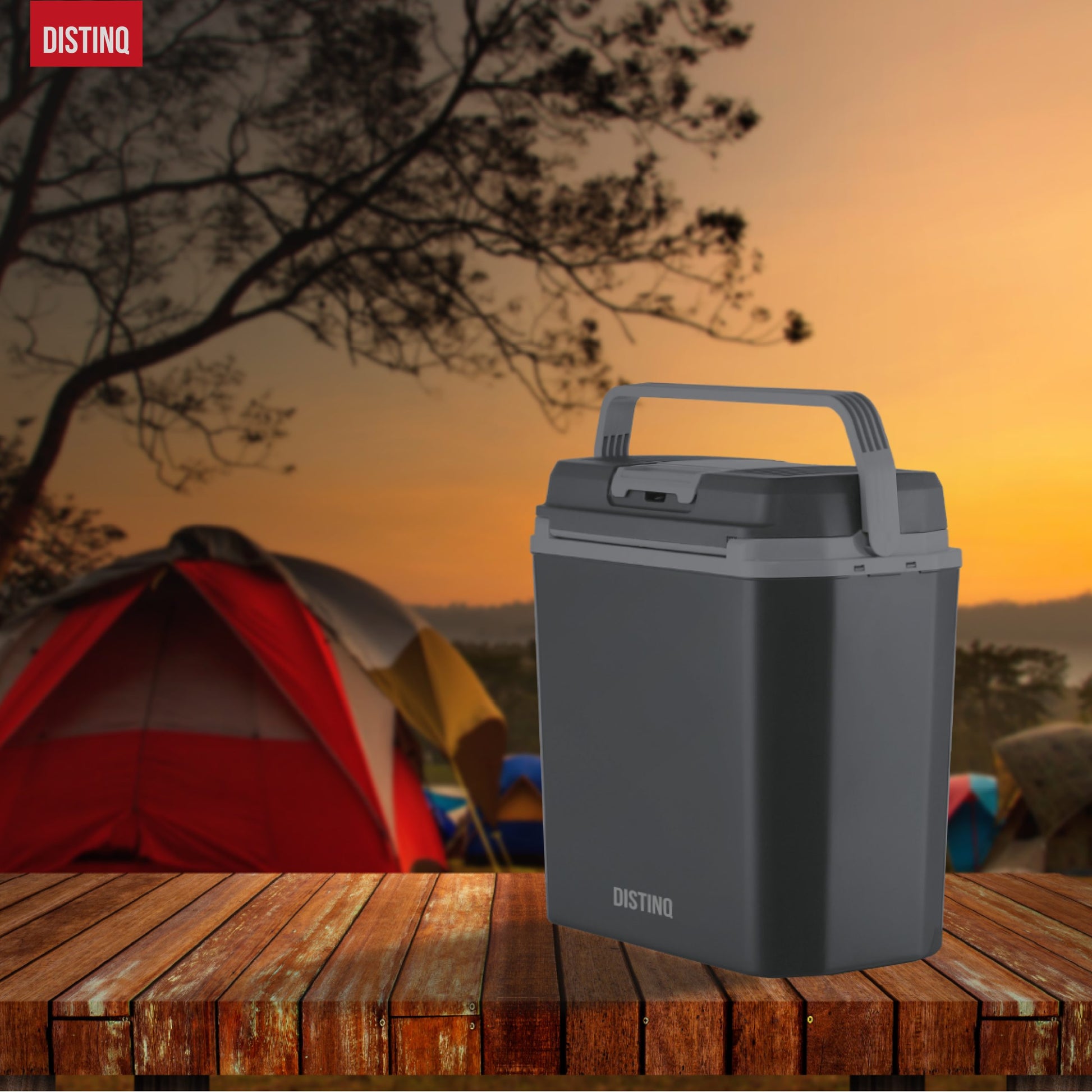 DistinQ Electric Cool Box 20L-6